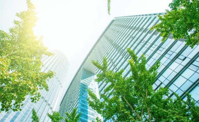 BREEAM Advisory Professional