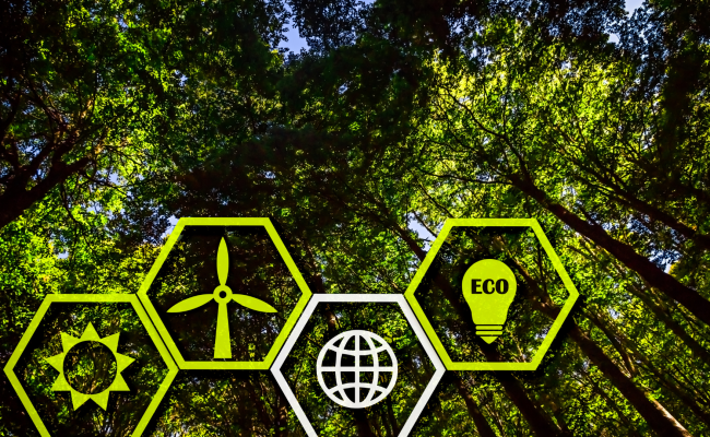 Energy Baseline Assessment