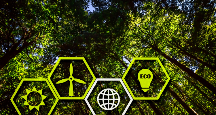 Energy Baseline Assessment