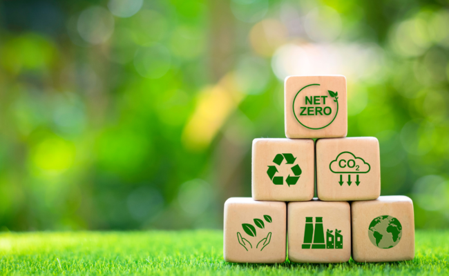 decarbonisation roadmap